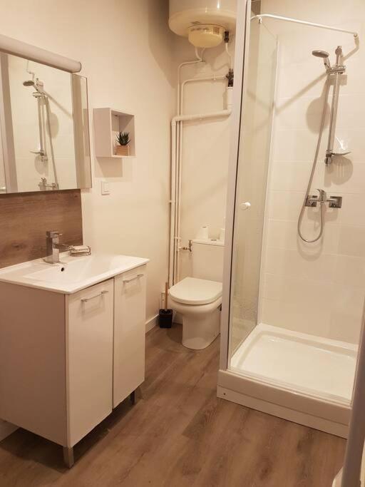 Agreable Appartement Lumineux Au Centre-Ville Oyonnax Luaran gambar